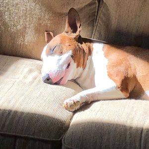 Meet your Posher, William